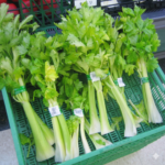 Celery