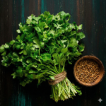 Coriander