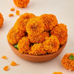 Marigold (MariGoldaa)