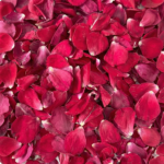 Rose Petals